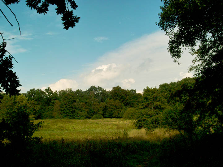 Photo10