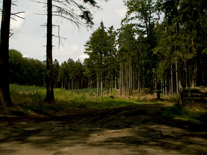 Photo15