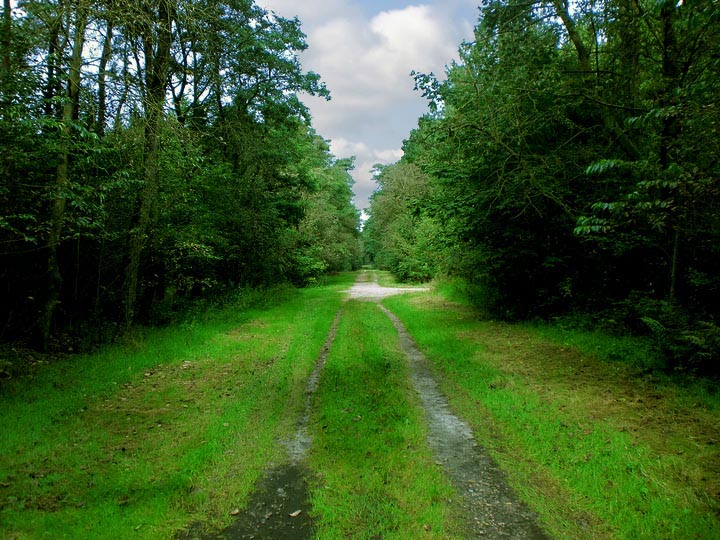 Wanderweg