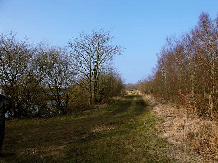 Photo11