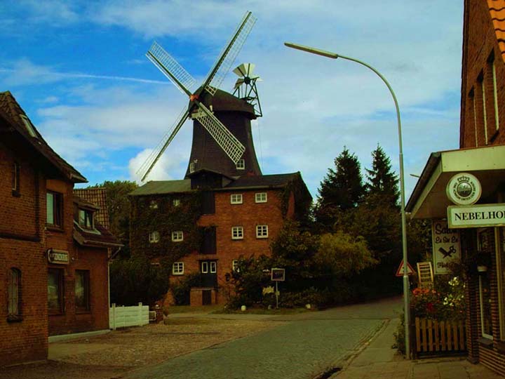 Photo 21