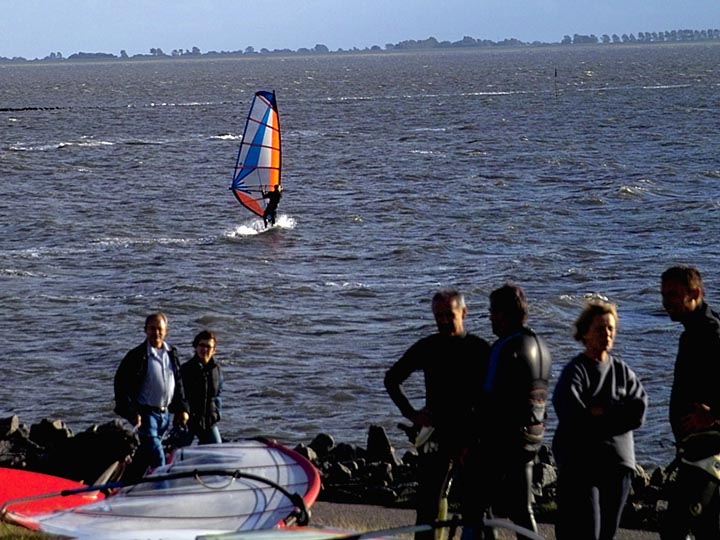 Windsurfer