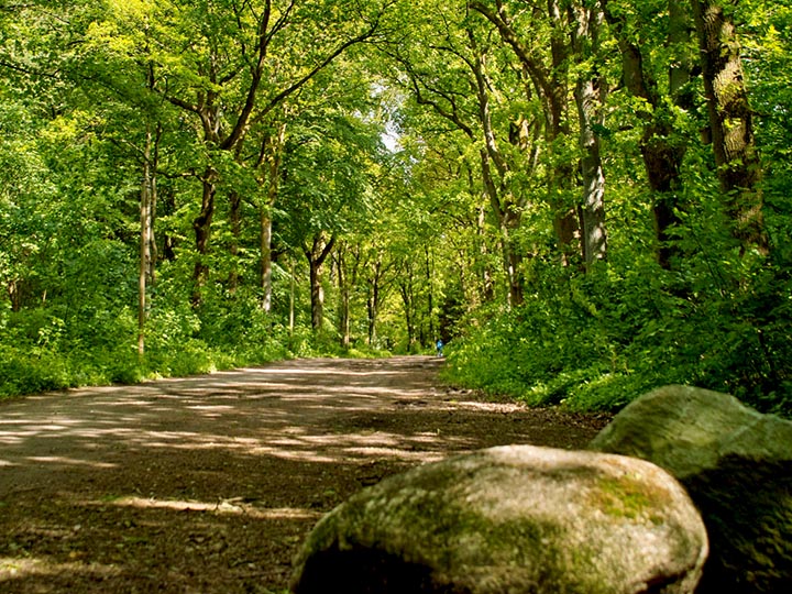 Wanderweg am NOK
