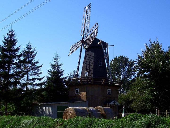 Ursula in Barlt