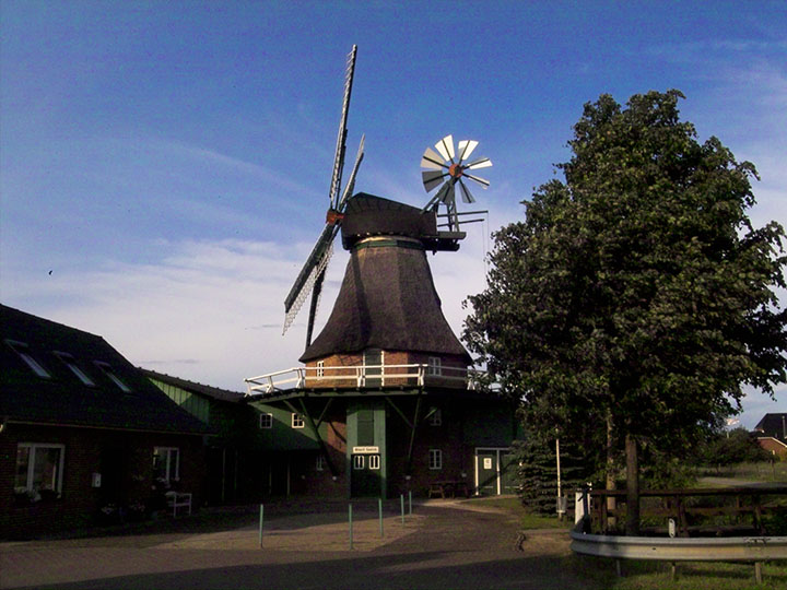 Ursula in Barlt